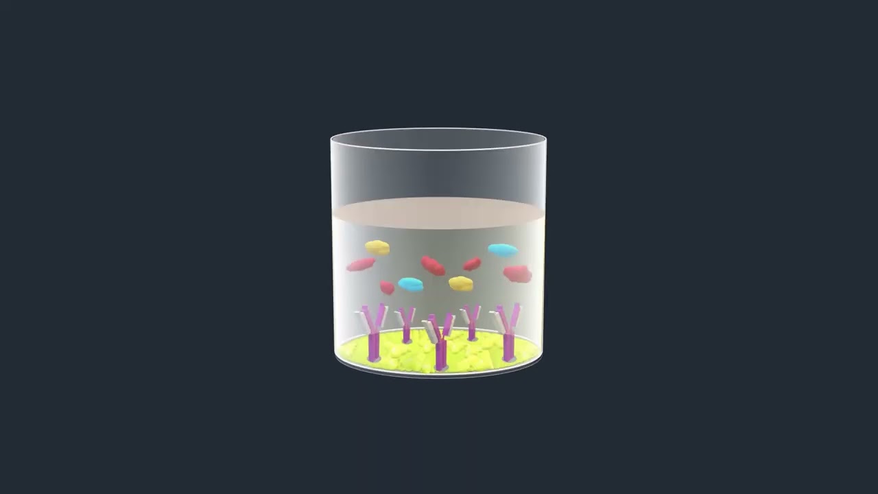 Sandwich ELISA Test - Animated Video