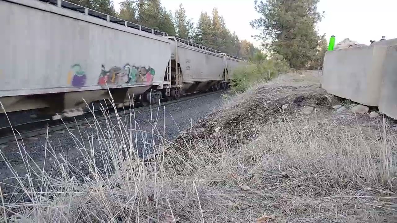 BNSF grain train with BNSF ES44AC #3987😎