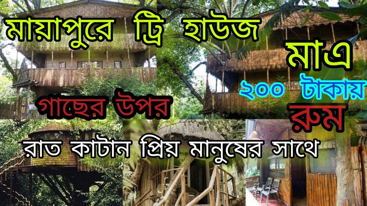 Tree house 🏡 lমাত্র ₹ ২০০ টাকায় রুম একদম নিরিবিলি রিসোর্ট কলকাতার কাছেই বেড়াতে যাওয়ার নতুন ঠিকানা