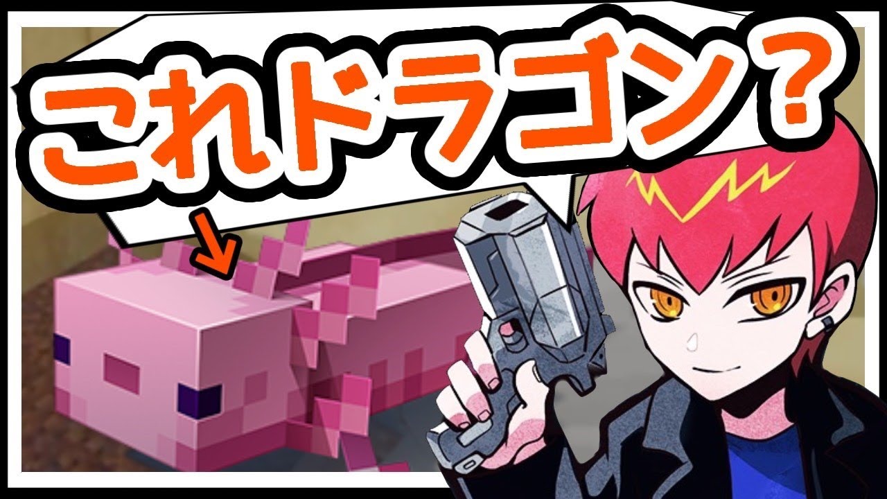 【CRマイクラ鯖】ウーパールーパーをドラゴンだと信じちゃうかわいいCpt【切り抜き】