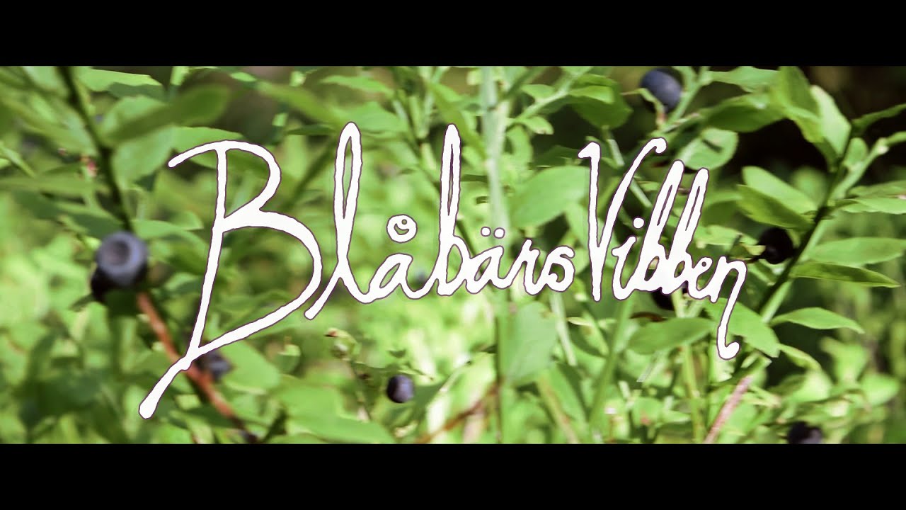 Reggaeonen - Blåbärsvibben