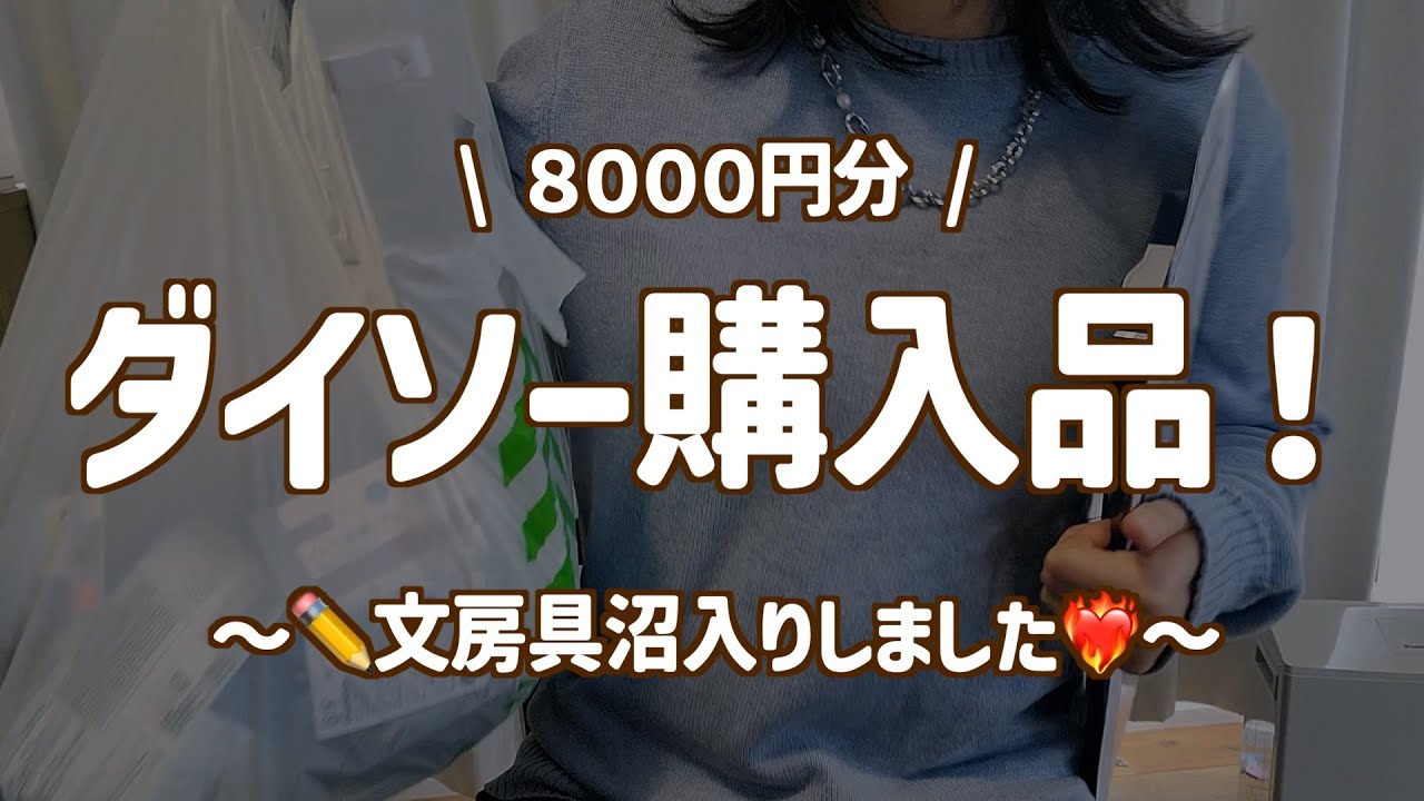 ダイソー爆買い購入品紹介〜文房具沼入りしました〜