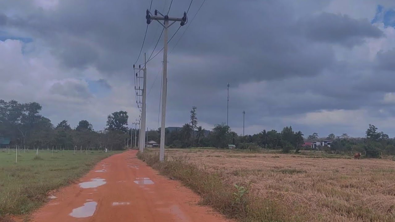 Quiet Walk in Rural Songkhla, Thailand · Daily Quiet · learning to walk with the wind together