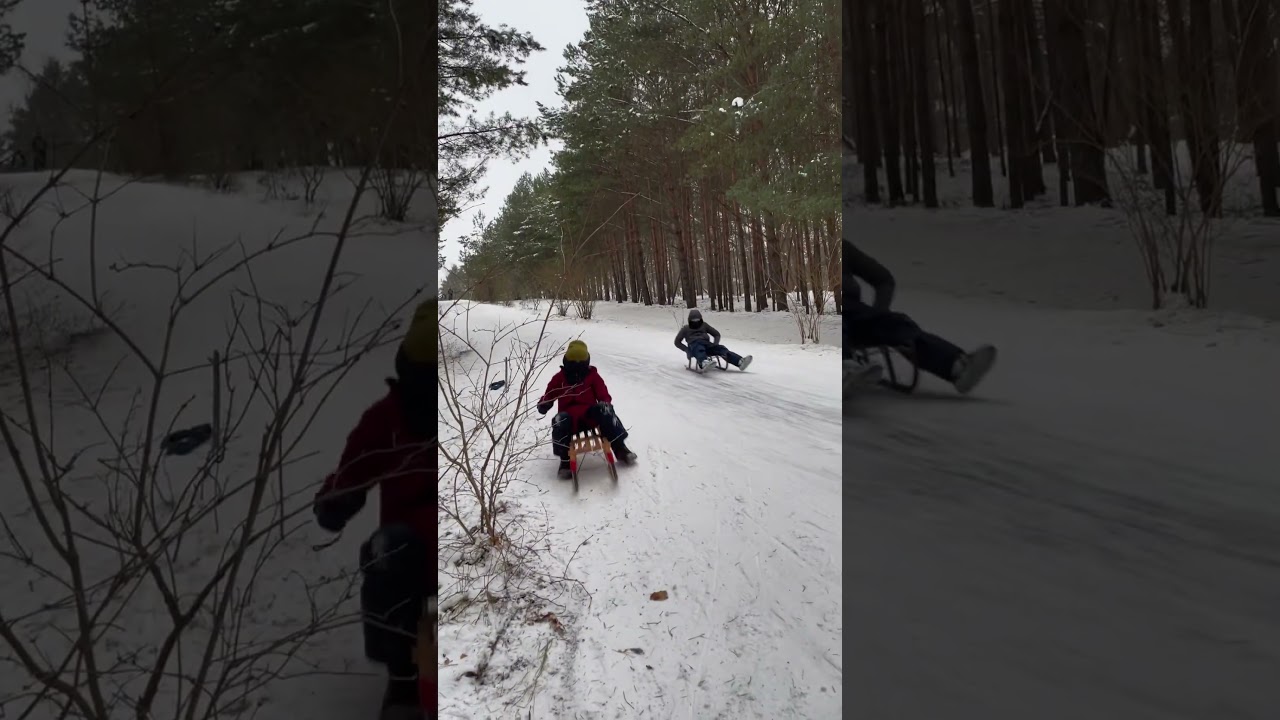 top 5 Leute beim Rodeln 