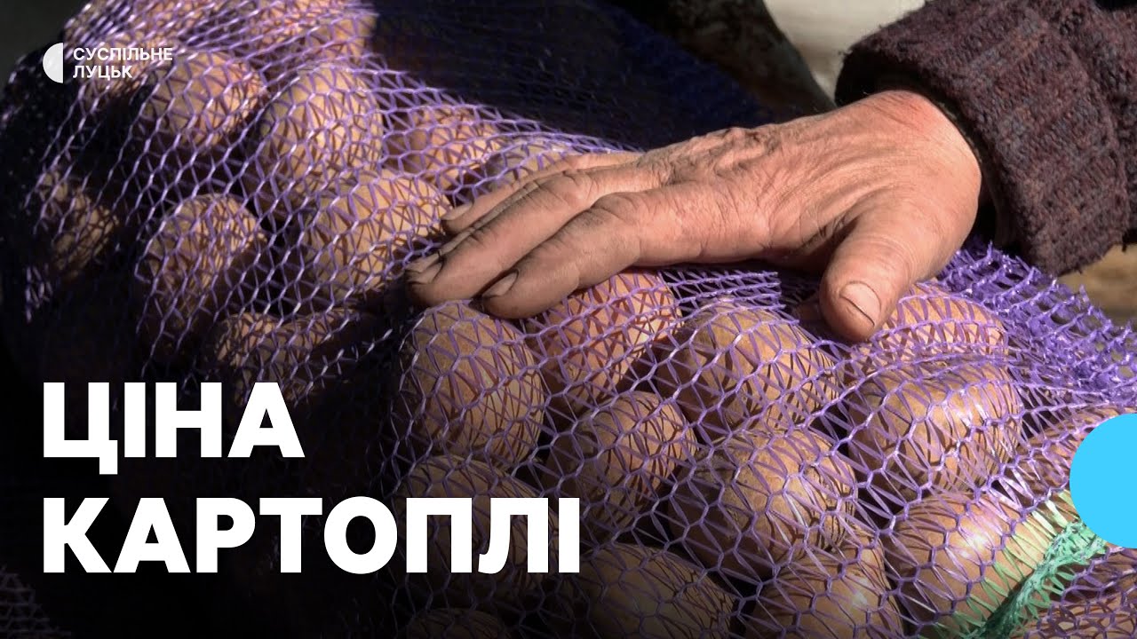 Чому дорожчає картопля в Луцьку