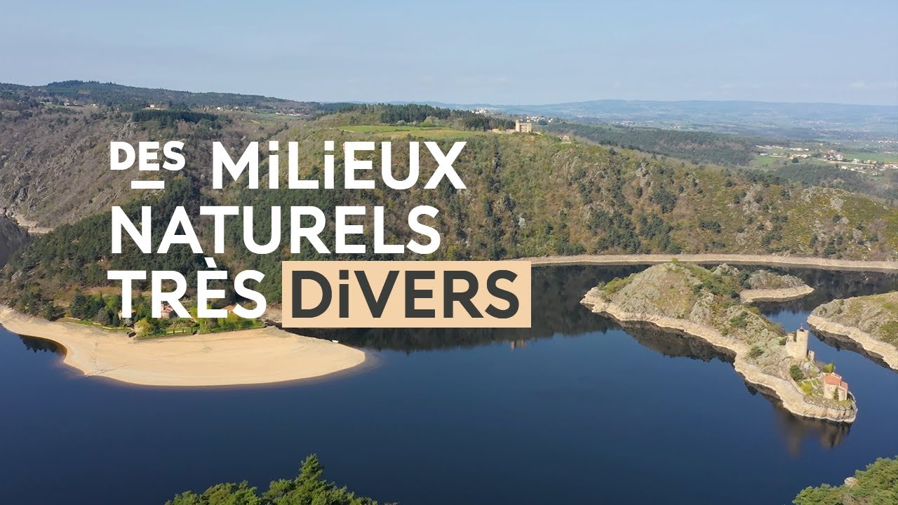 Réserve naturelle régionale des Gorges de la Loire