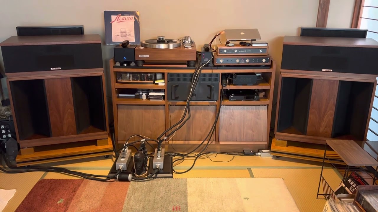 ACOUSTIC REVIVE CS-3K & RPC-1KM RPC-1KMのみを装着