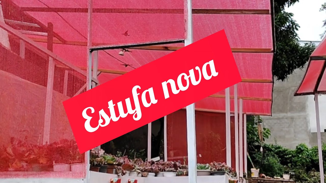 APRESENTO estufa NOVA 🙏💕