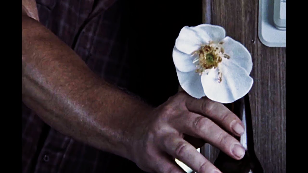 The Walking Dead - Cherokee Rose