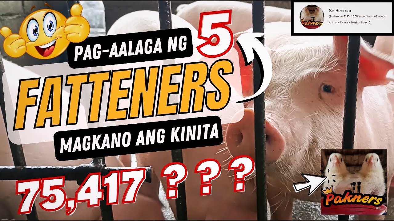 Gastos at Kita sa Pagpapalaki ng Fatteners