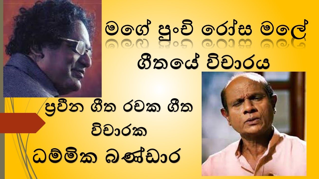 mage punchi rosa male wicharaya dammika bandara | මගේ පුංචි රෝස මලේ විචාරය ධමමික බණ්ඩාර