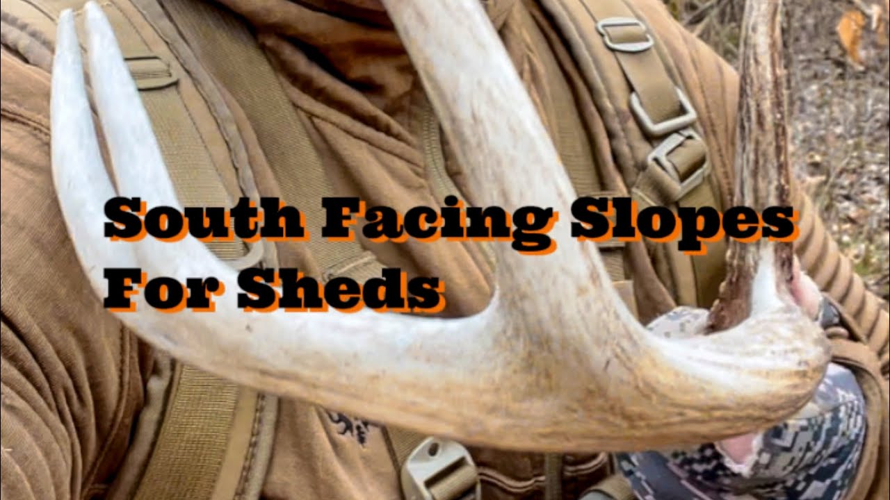 South facing slopes are ideal spots to shed hunt!