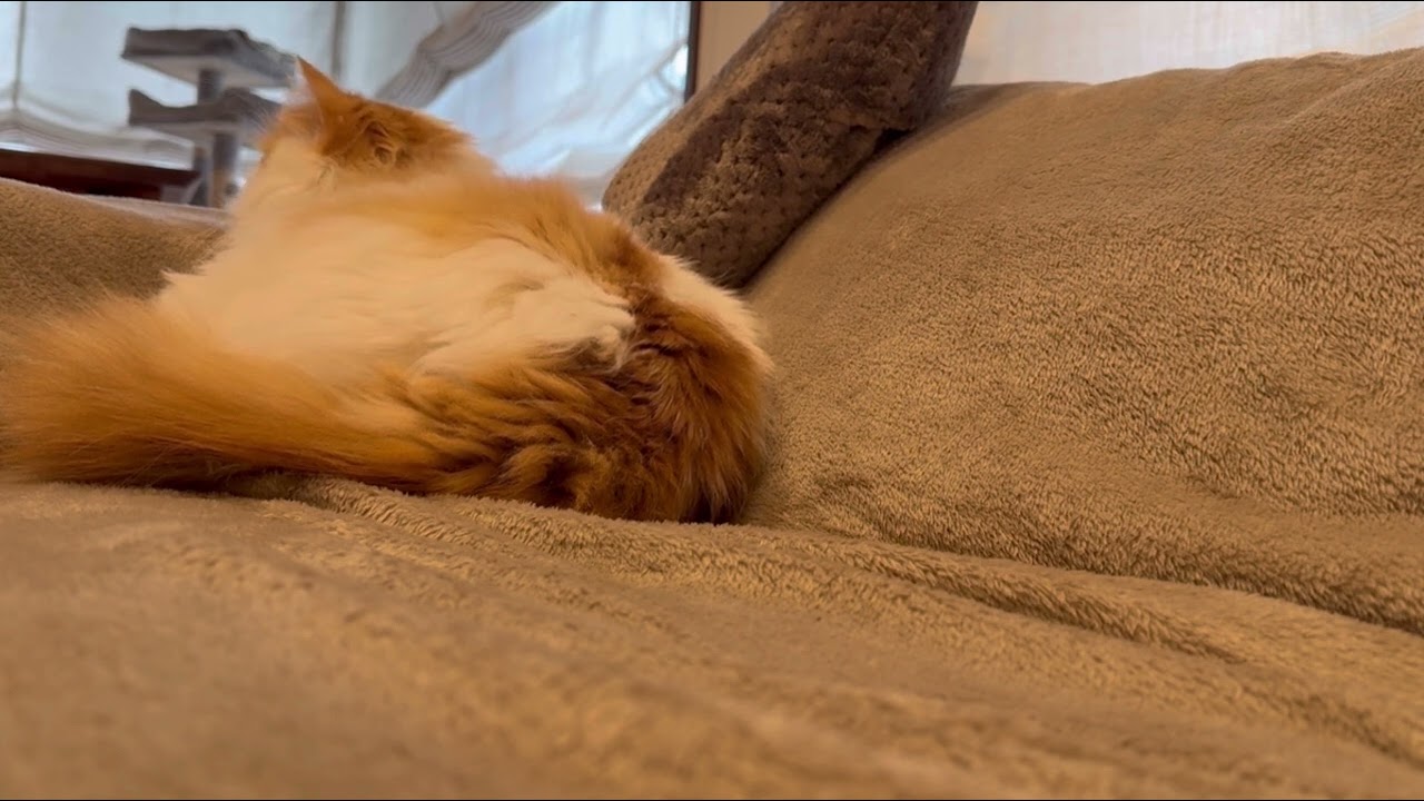 僕の好きな場所