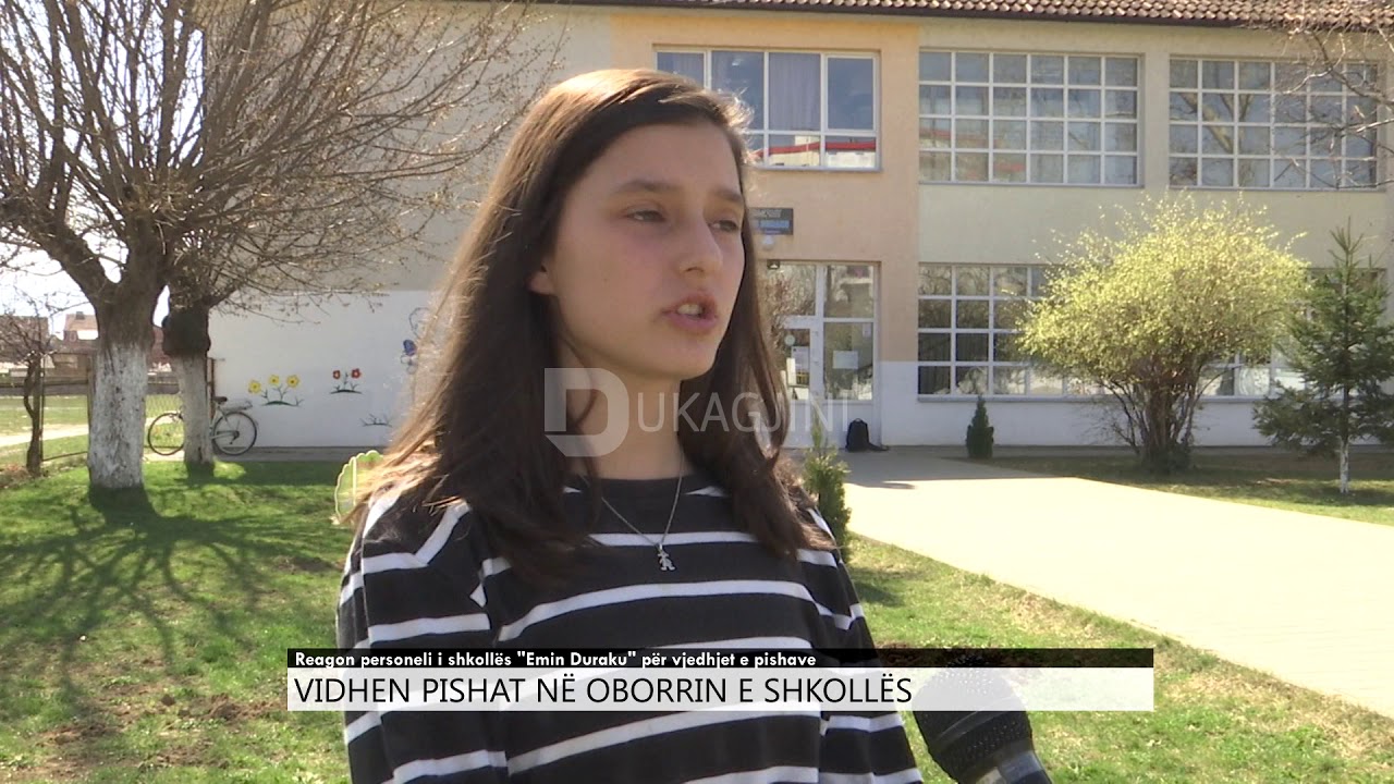 Vidhen pishat në oborrin e shkollës 'Emin Duraku' në Gjakovë