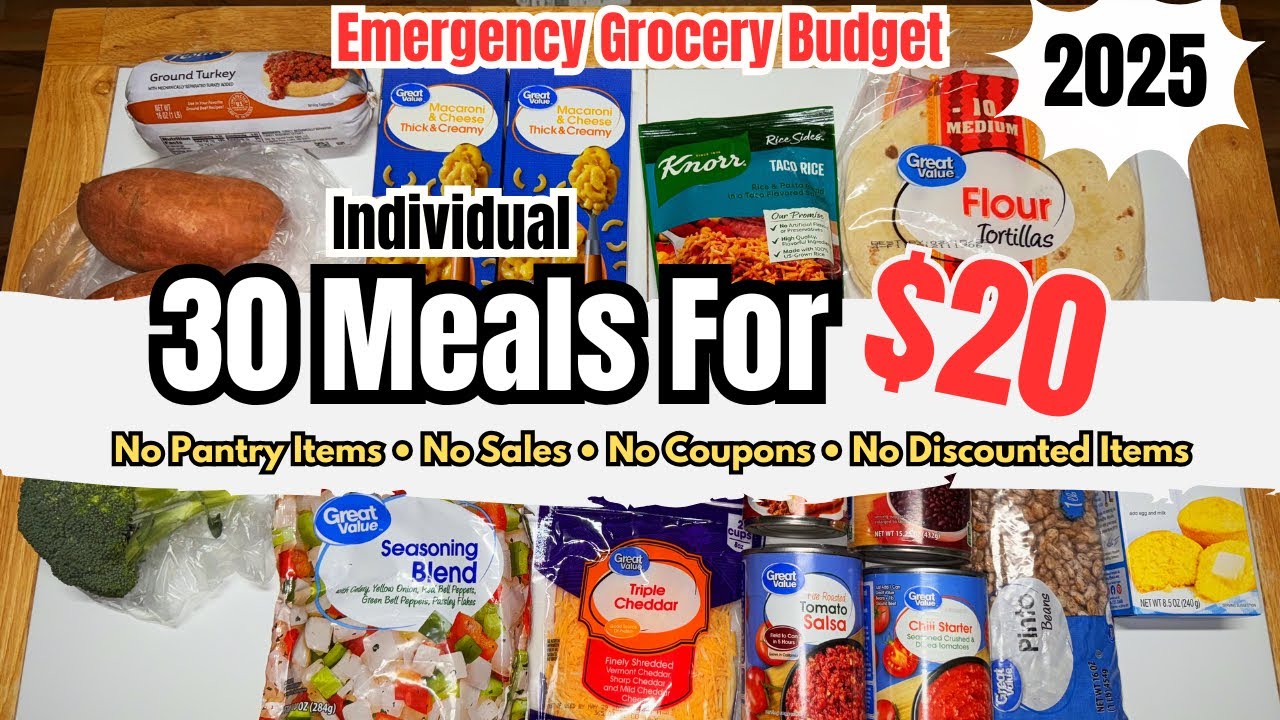 $20 Emergency Grocery Budget = 30 ✨Individual✨Meals For My Family || NO PANTRY ITEMS USED