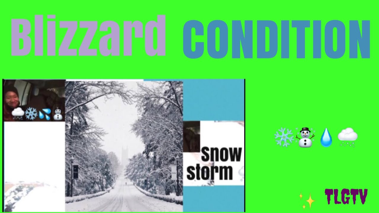 Blizzard storm (SNOW STORM ) Day in the life TLG Vlog Ep:7