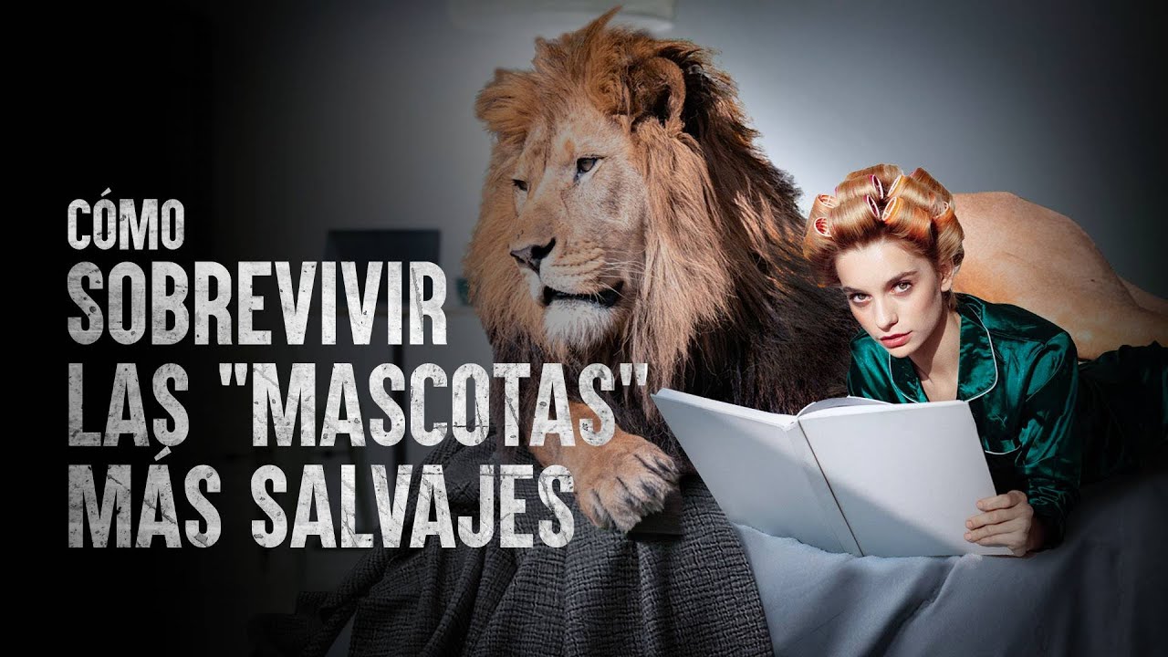 Cómo Sobrevivir con las 