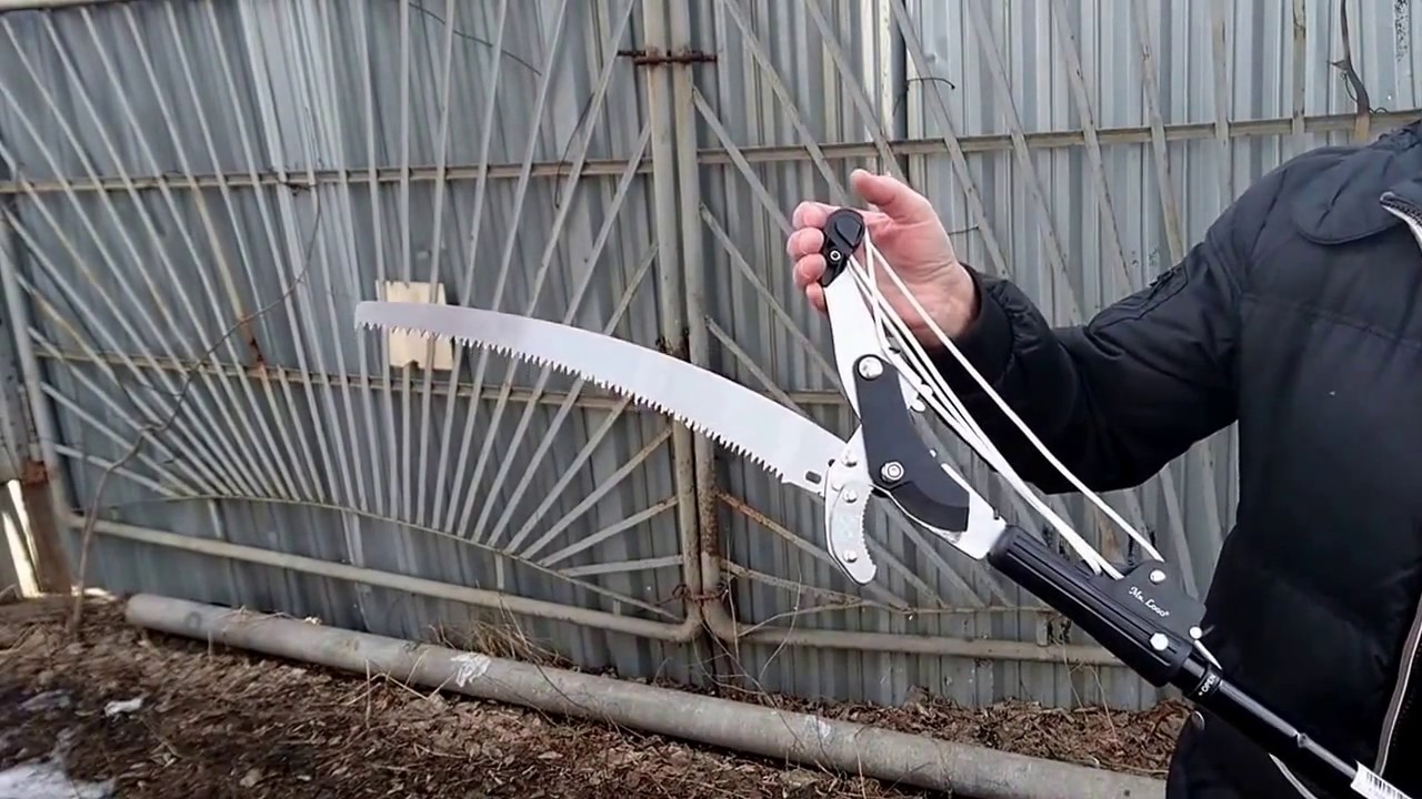 Сучкорез и ножовка для высоких (до 5 метров) деревьев.