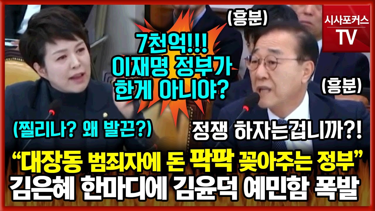 국민의힘 김은혜 