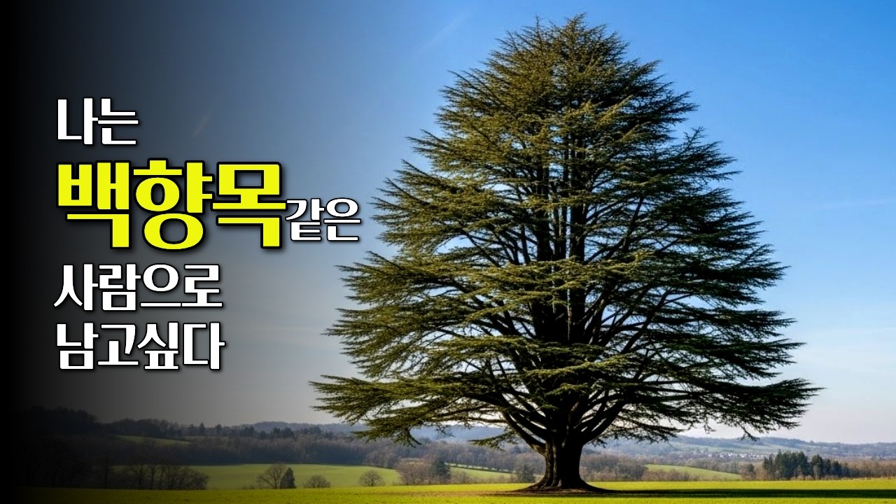 나는 백향목 같은 사람으로 남고 싶다