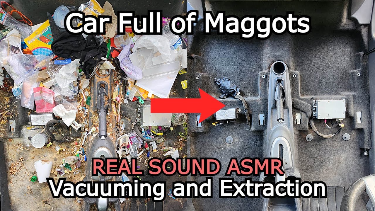 [ASMR] Car FULL of MAGGOTS.. Real Sound, Real Speed Vacuuming and Extraction