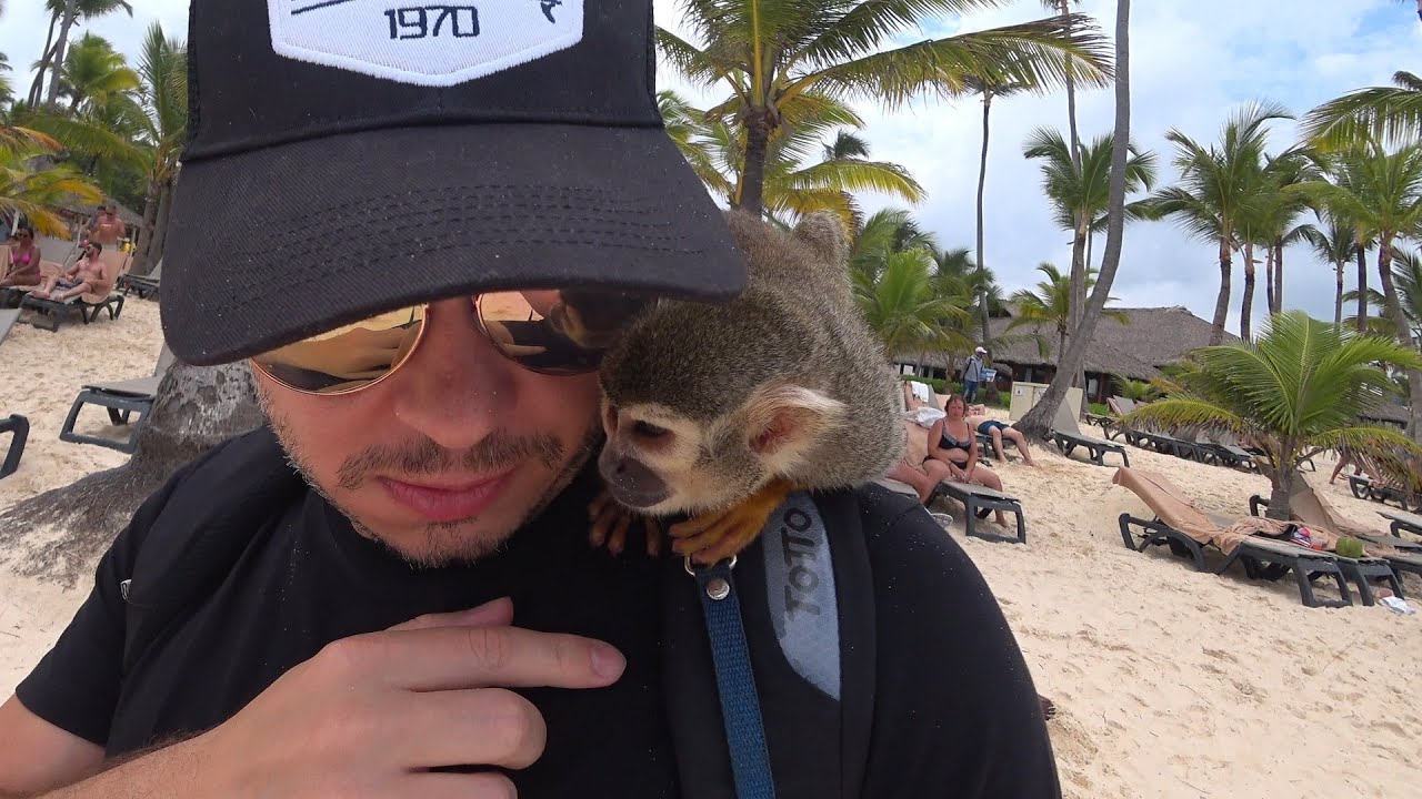 Prehliadka rezortu v letovisku Punta Cana | Punta Cana, Dominik&aacute;nska republika