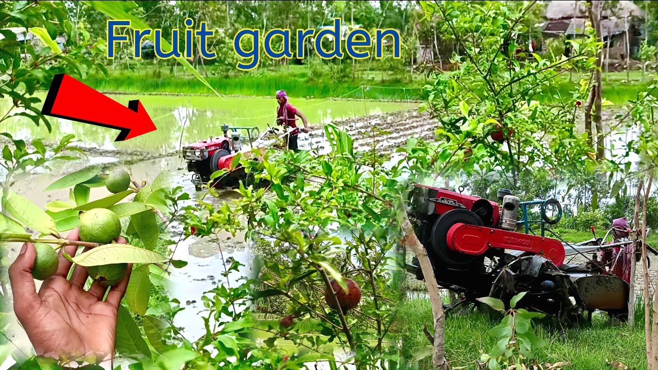 Working in the orchard Kamco KMB 200  @LauraFarms @FarmingAreaofficial