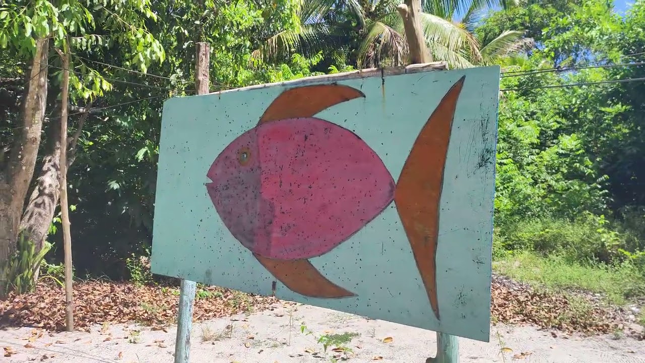 Jay, Paty & Jackson conhecendo o modo de vida em uma comunidade indígena (Povos Originários).