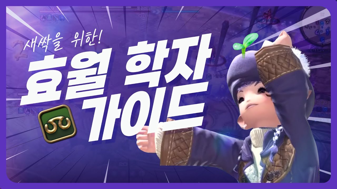 [파판14] 효월 학자, 10분 가이드!