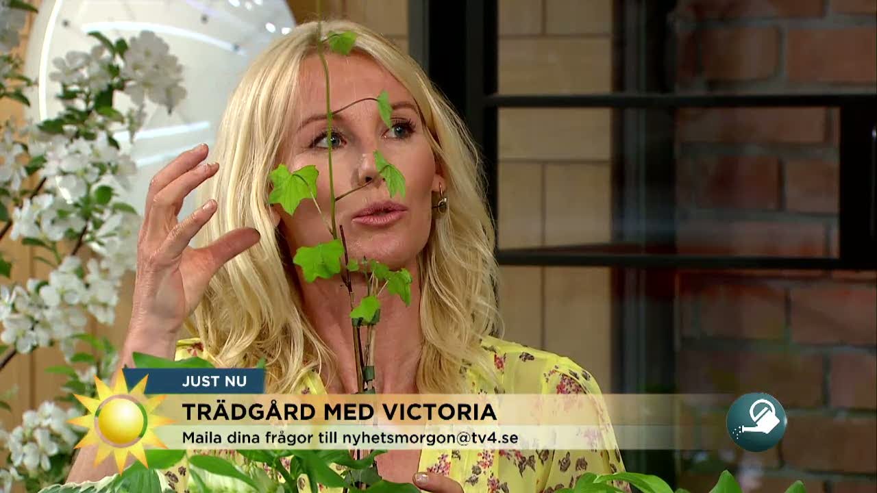 Victoria Skoglund: 