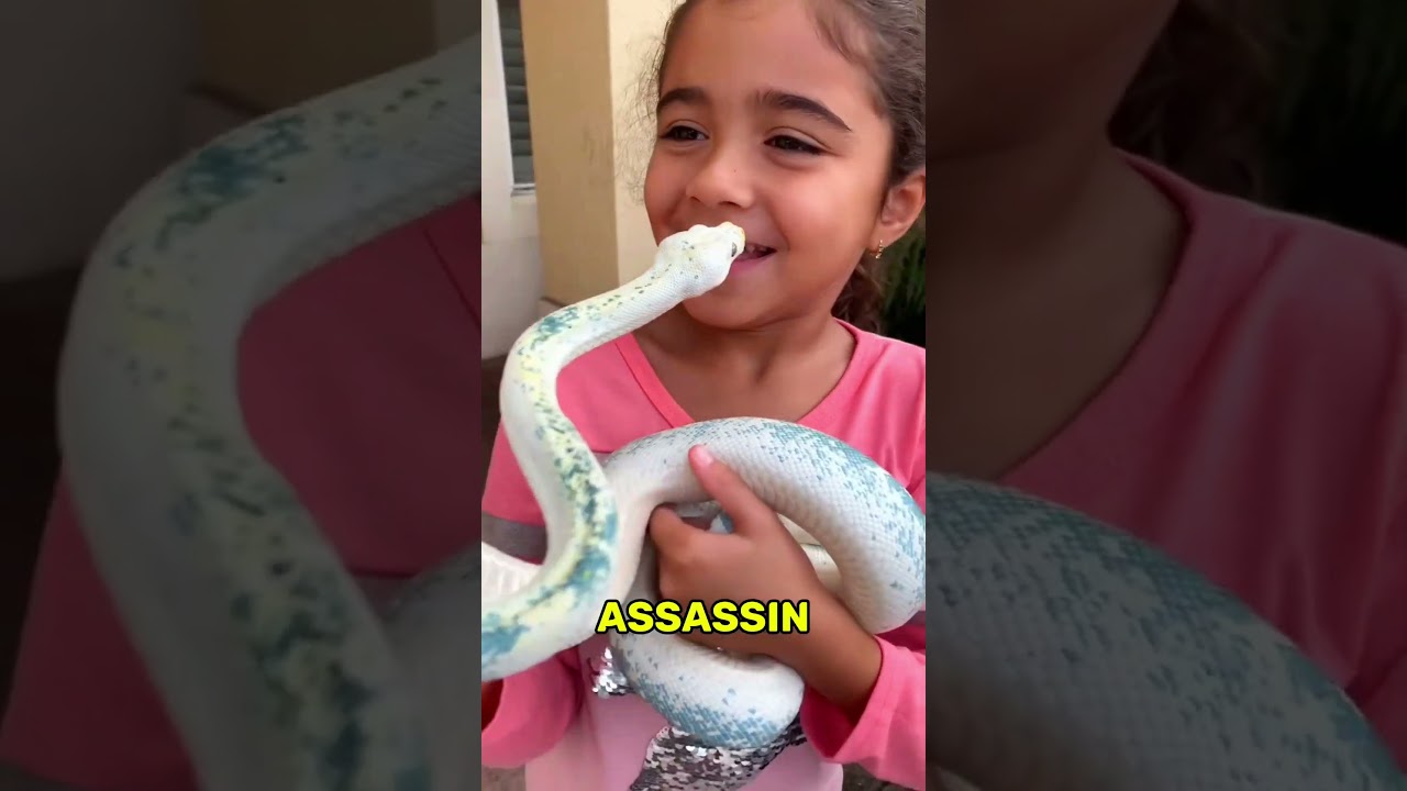These Are the Friendliest Snakes People Aways Fear 🐍 😅 😆