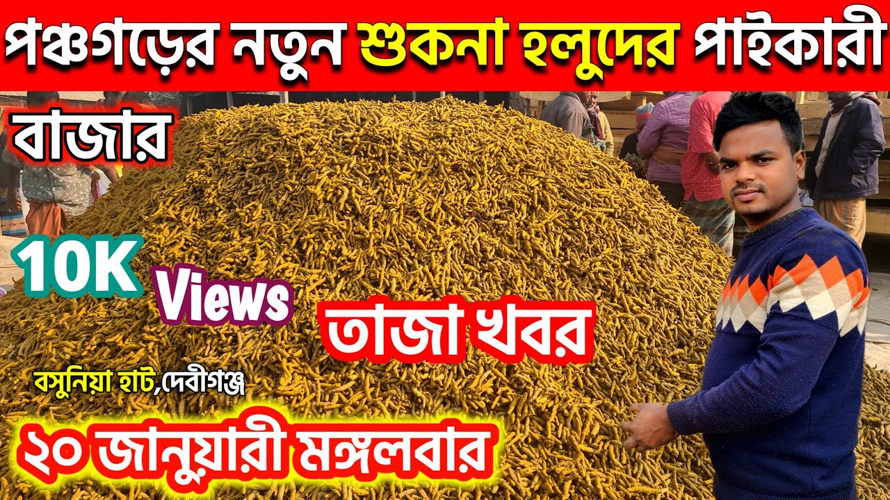 20 জানুয়ারী মঙ্গলবার। পঞ্চগড়ের শুকনা হলুদের পাইকারি বাজার নতুন সিজেনে দাম জানুন আজকের হলুদের আপডেট 