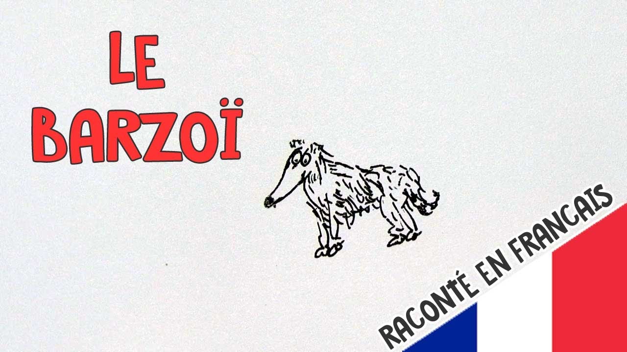 le barzo&iuml; expliqu&eacute; en dessin   tout savoir sur le l&eacute;vrier russe en bande dessin&eacute;e