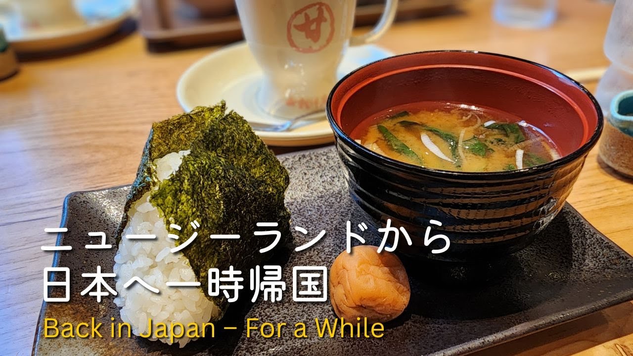 日本滞在 🇯🇵 Part 1 | ニュージーランドから日本へ一時帰国 | 福岡のIKEAで滞在中のお買い物