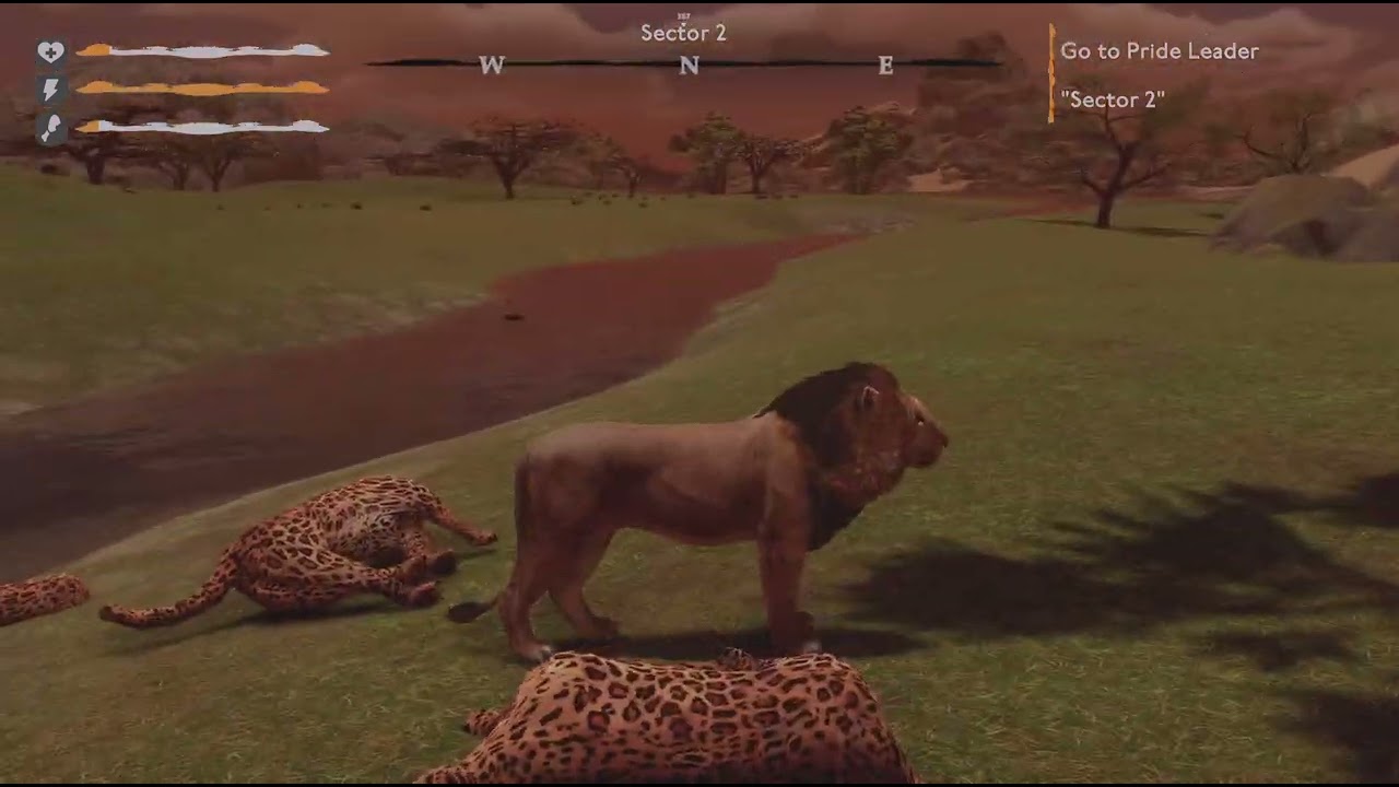 Lion Simulator episode 24
