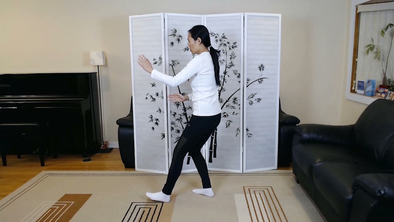 Tai Chi Yang Style 37 Form, Movements 1-23 Back View