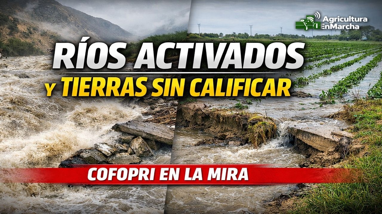 RÍOS ACTIVADOS Y TIERRAS EN EL LIMBO: COFOPRI SOLO ENTREGÓ CONSTANCIAS