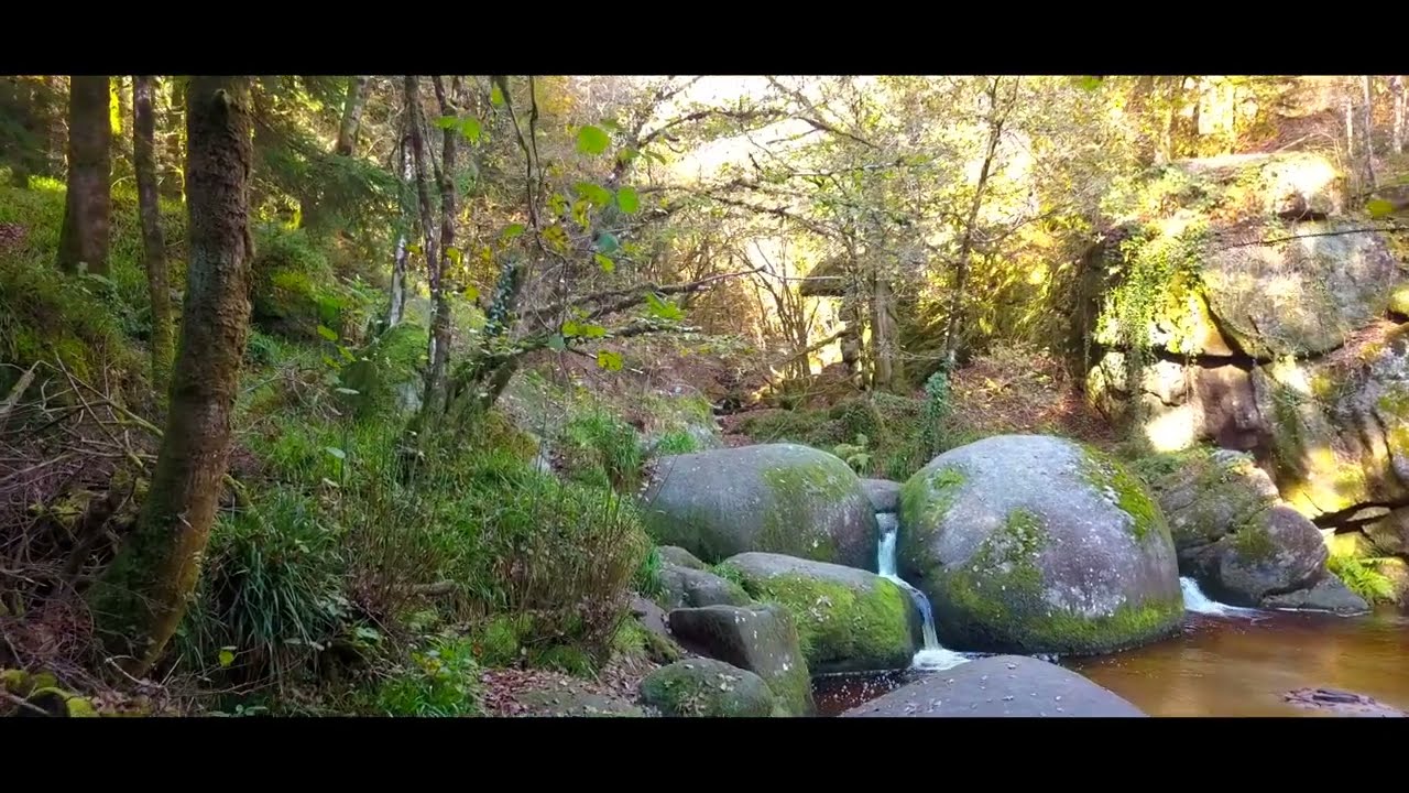 BREIZHZENITUDE , La forêt d'Huelgoat ( automne) (version longue) , La Bretagne vue du ciel