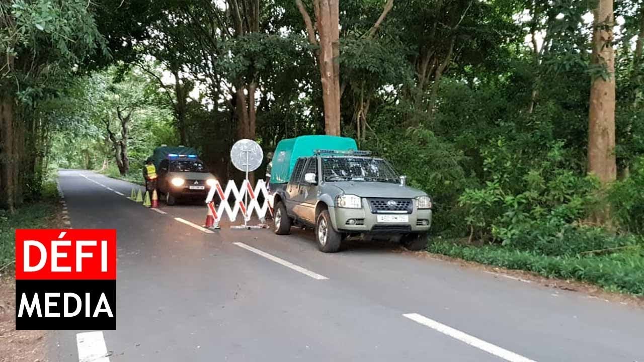 SMF : 100 soldats passent 36 heures dans la forêt de Bras-d'Eau