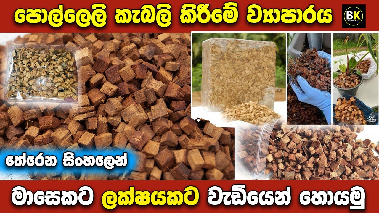 පොල්ලෙලි කැබලි කිරීමේ ව්‍යාපාරයක් පටන් ගමු | How to make coco chips business | New business ideas