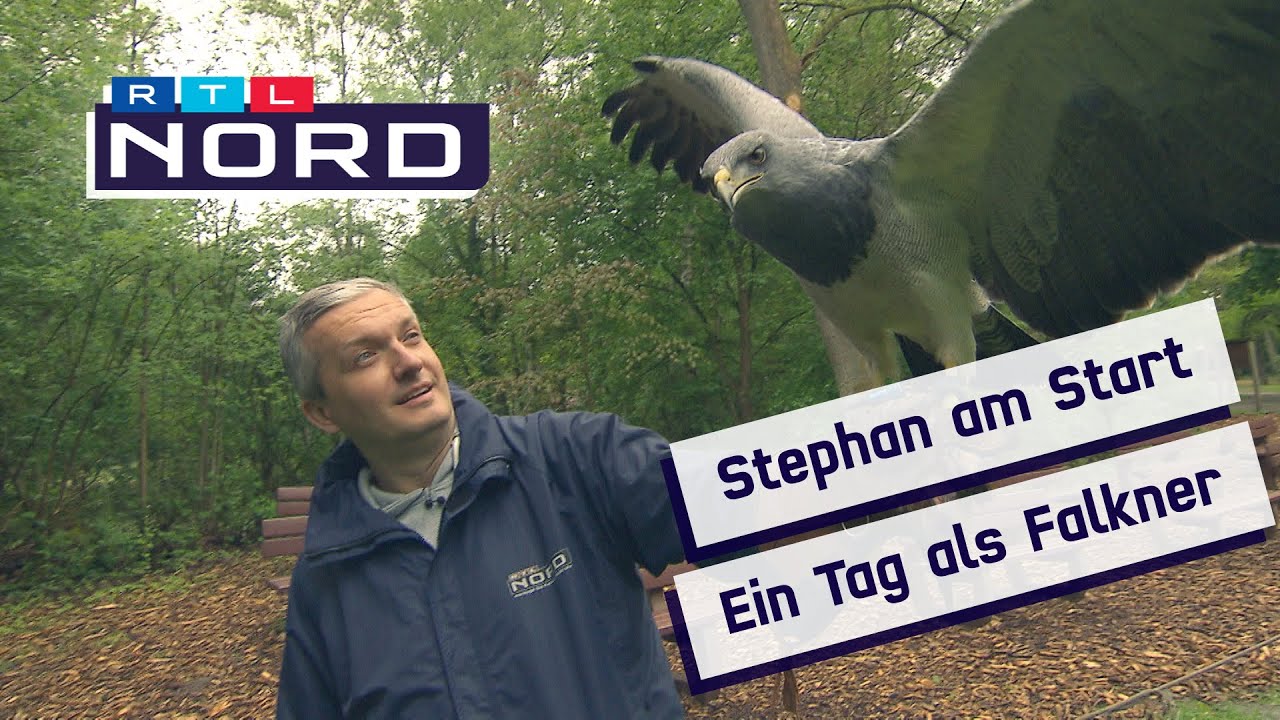 Stephan wird einen Tag zum Falkner!