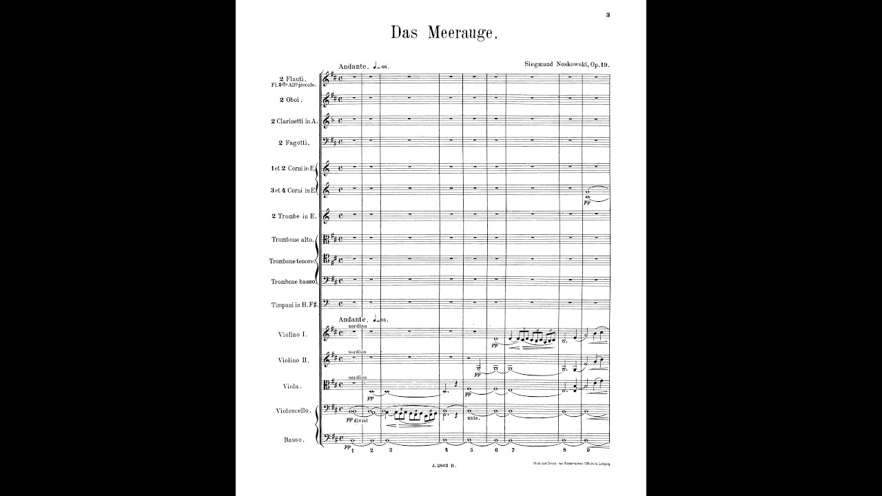 Zygmunt Noskowski - Morskie Oko Op. 19