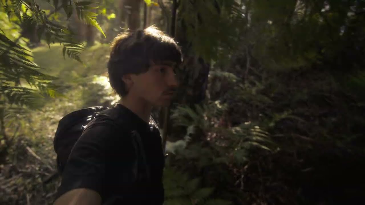 Three Weeks in the Australian Rainforest | A Cinematic Wildlife Film