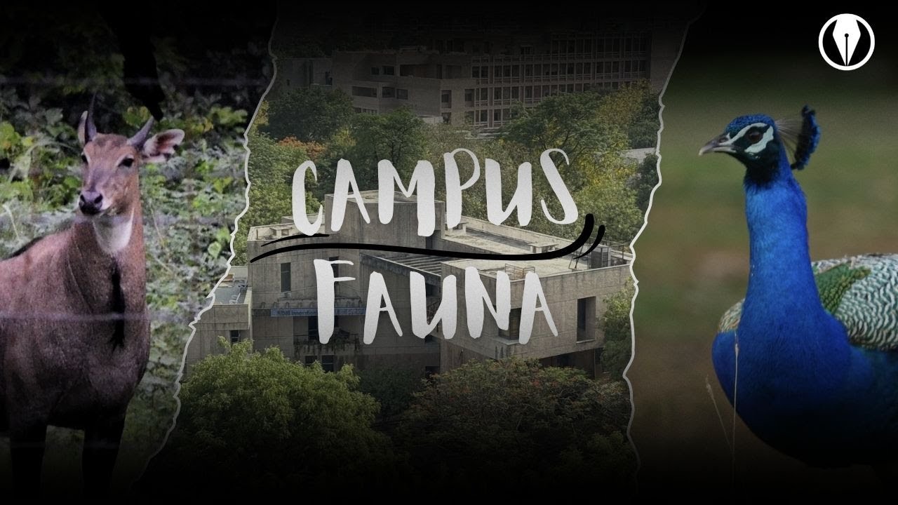 IIT Kanpur Campus Fauna | Vox Populi IITK