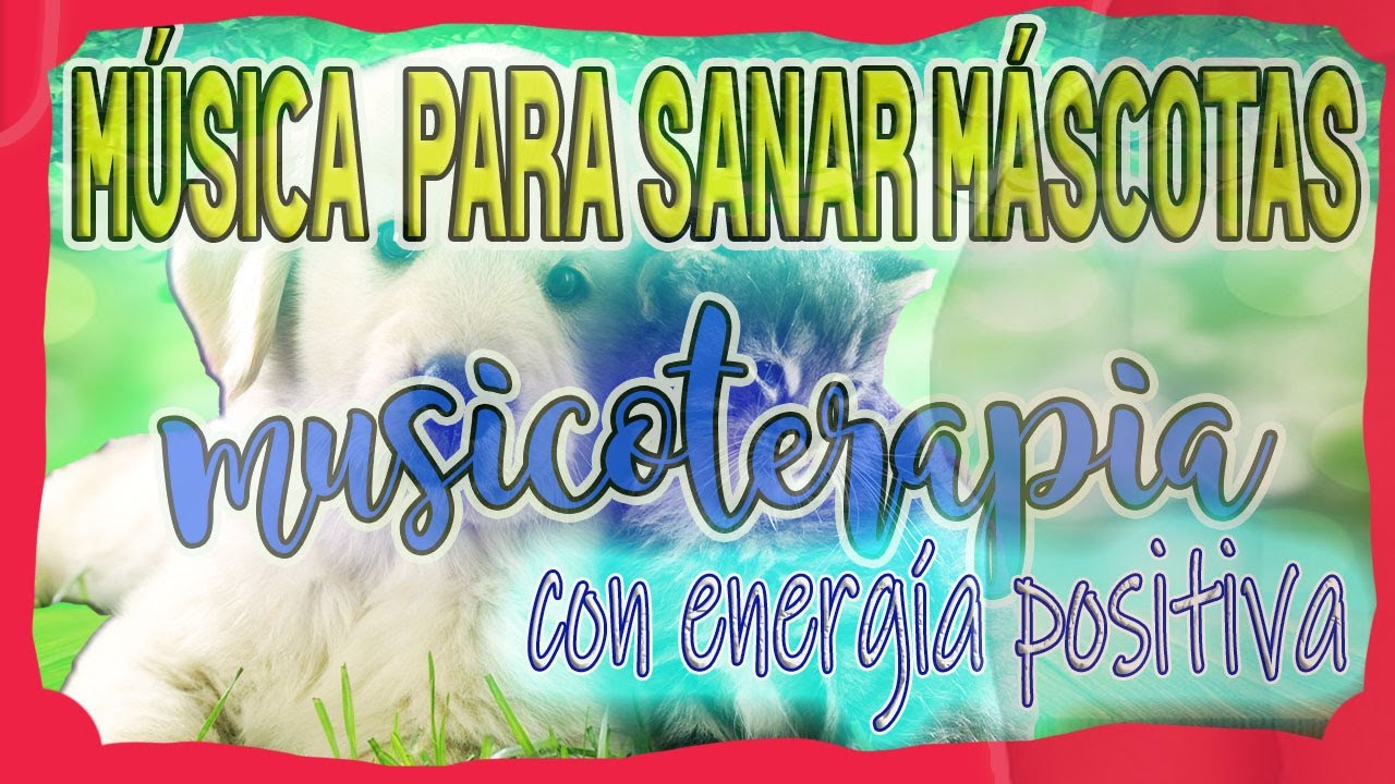 MUSICA PARA SANAR A LOS ANIMALES CON AMOR 🐶💖 - M&Uacute;SICOTERAPIA con energ&iacute;a positiva para mascotas +1h