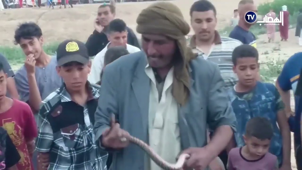 سيدي بلعباس :بلدية المسيد دائرة سفيزف تحيي الوعدة الثقافية