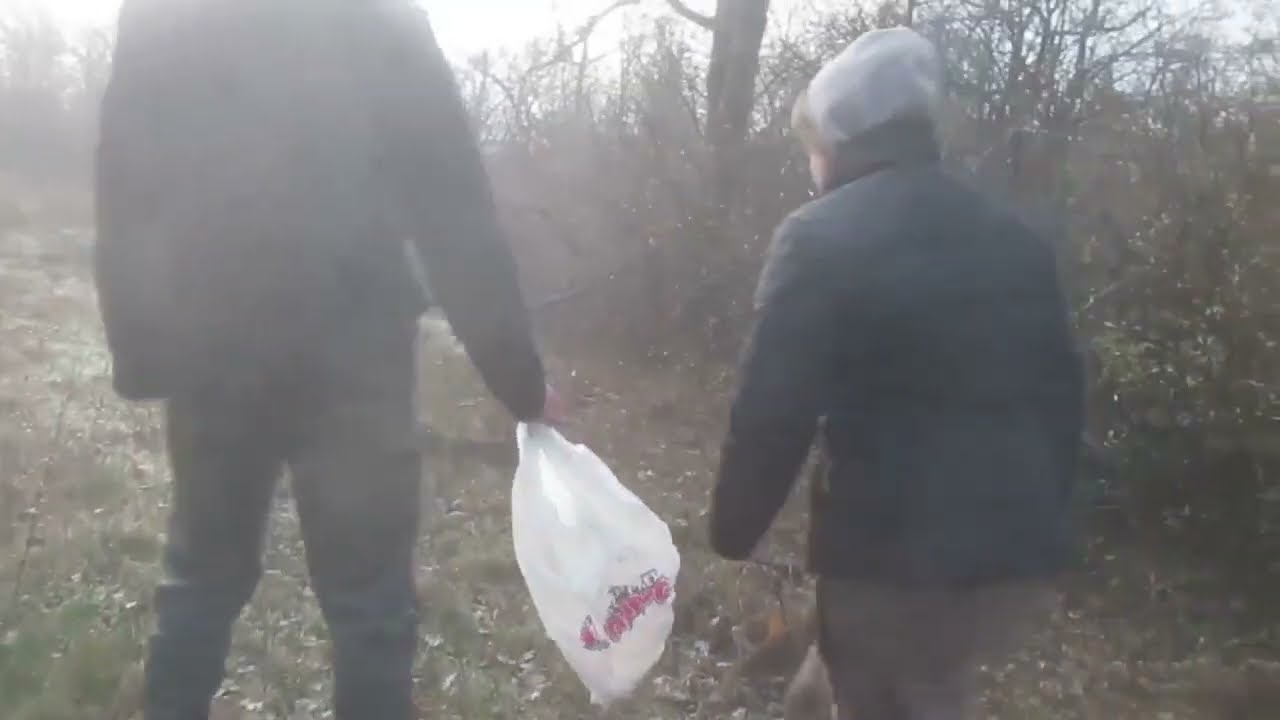 Ноябрь на Донецком кряже.