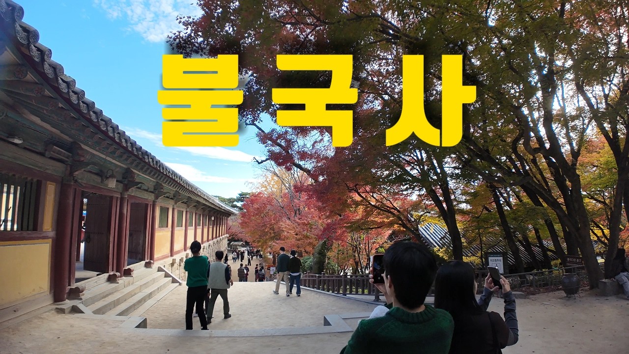 경주 불국사 I 몰랐던 단풍명소 난리난 현상황! APEC 이후 최대인파 남녀노소 사진 찍기 바쁘네요 ・4K