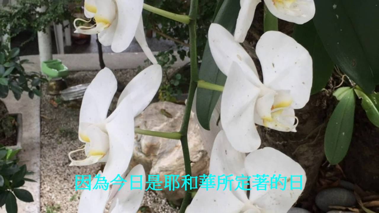鄭明堂～敬拜詩歌《耶和華所定著的日》