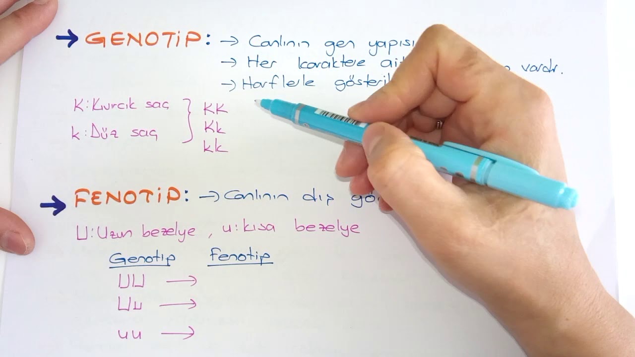 KALITIM I  -    Mendel kanunları ve çaprazlamalar